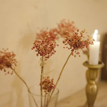 Angolo Del Poeta Matera